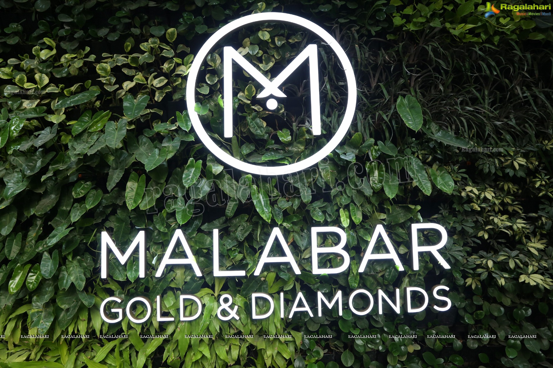 Artistry Branded Jewellery Collection by Malabar Gold and Diamonds at Somajiguda Showroom