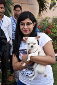 PETEX India - India's Largest Pet Expo Kicks Off at Hitex