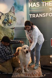 PETEX India - India's Largest Pet Expo Kicks Off at Hitex