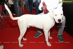 PETEX India - India's Largest Pet Expo Kicks Off at Hitex