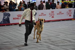 PETEX India - India's Largest Pet Expo Kicks Off at Hitex