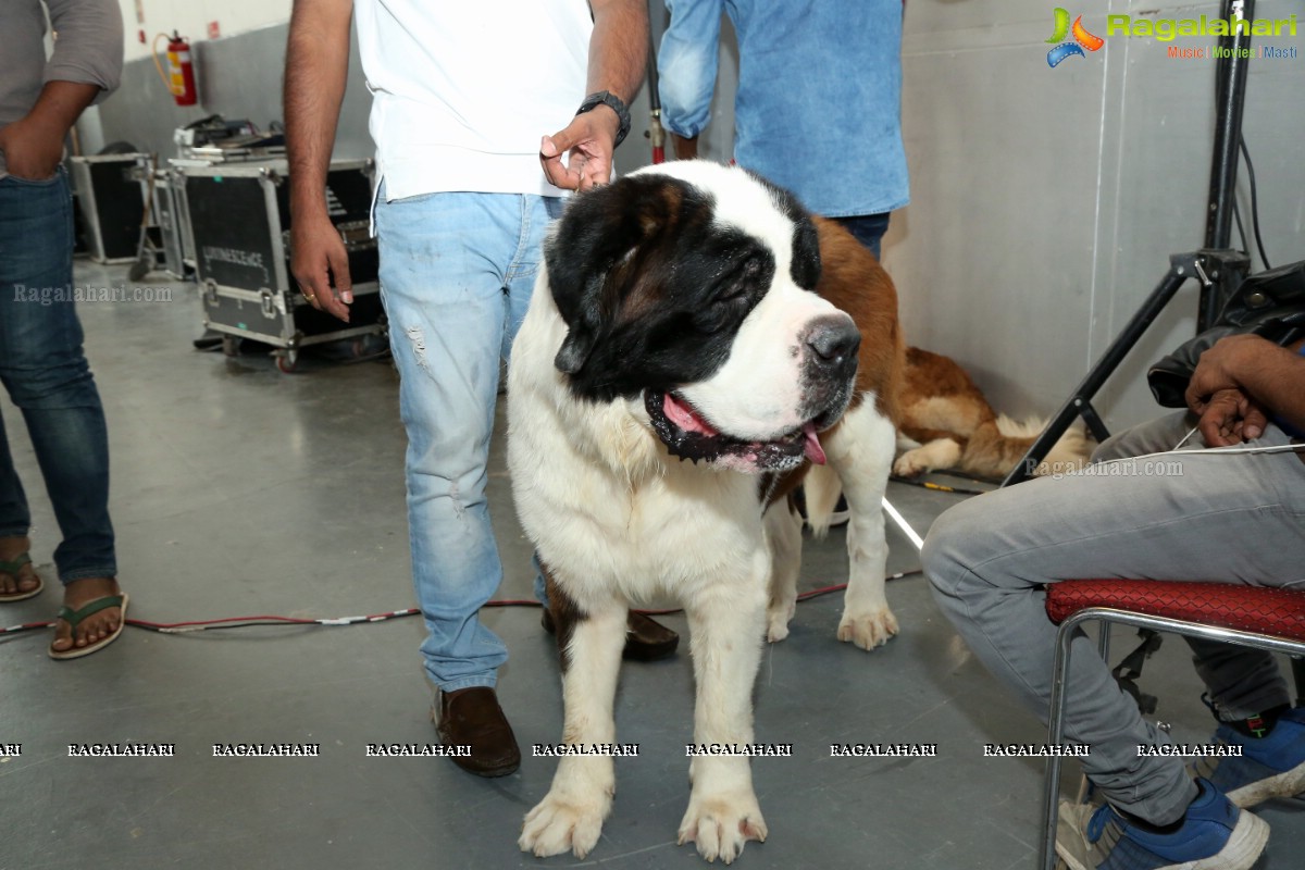 PETEX India - India’s Largest Pet Expo Kicks Off at Hitex