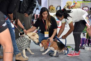 PETEX India - India's Largest Pet Expo Kicks Off at Hitex