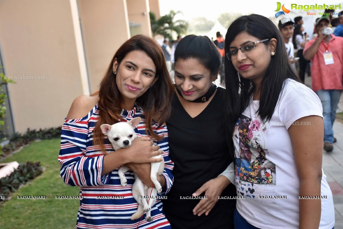 PETEX India - India’s Largest Pet Expo Kicks Off at Hitex