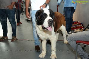 PETEX India - India's Largest Pet Expo Kicks Off at Hitex