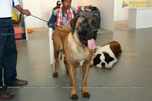 PETEX India - India's Largest Pet Expo Kicks Off at Hitex