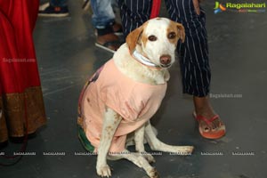 PETEX India - India's Largest Pet Expo Kicks Off at Hitex