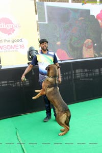 PETEX India - India's Largest Pet Expo Kicks Off at Hitex