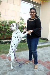 PETEX India - India's Largest Pet Expo Kicks Off at Hitex