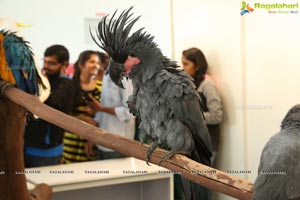 PETEX India - India's Largest Pet Expo Kicks Off at Hitex