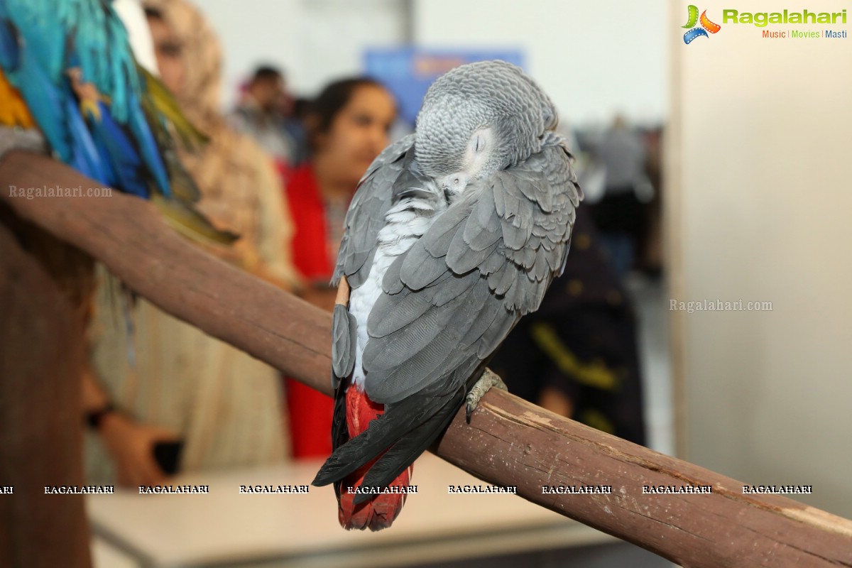 PETEX India - India’s Largest Pet Expo Kicks Off at Hitex