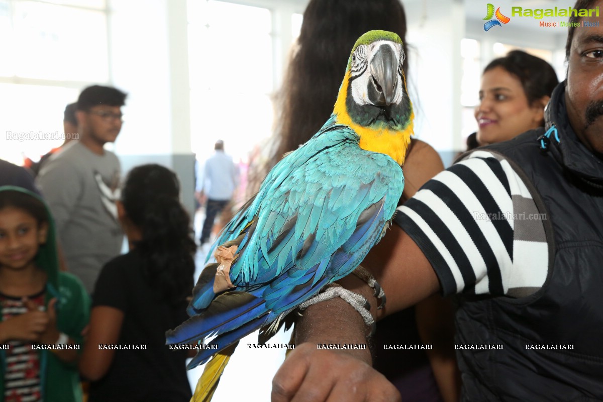 PETEX India - India’s Largest Pet Expo Kicks Off at Hitex
