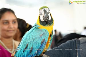 PETEX India - India's Largest Pet Expo Kicks Off at Hitex