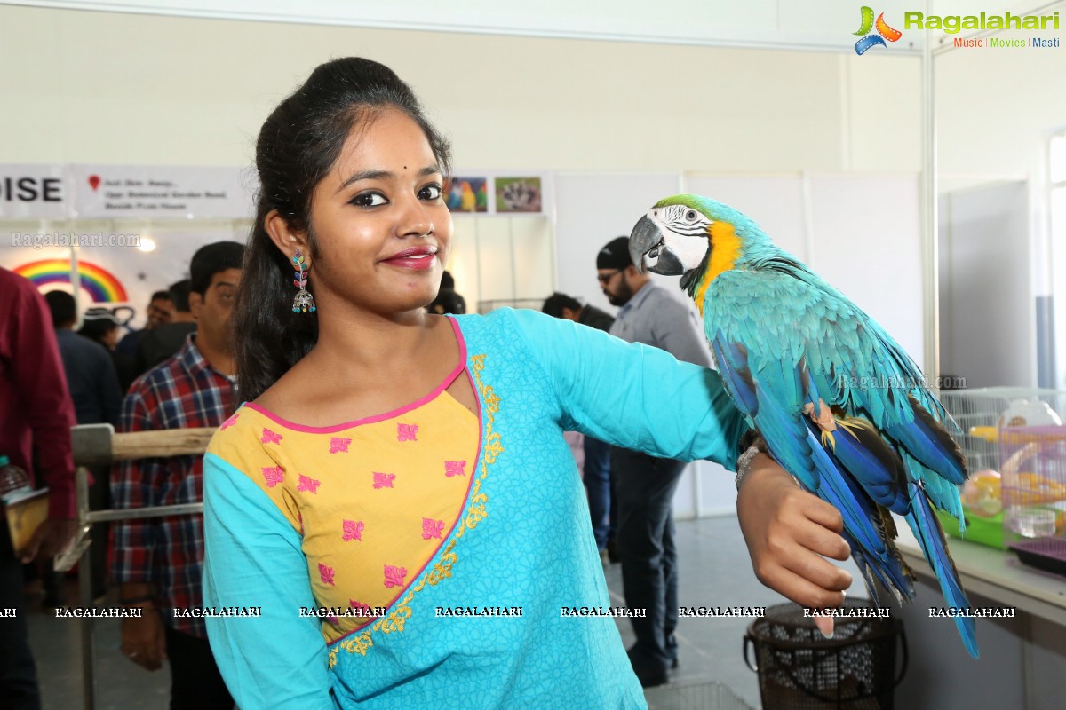 PETEX India - India’s Largest Pet Expo Kicks Off at Hitex