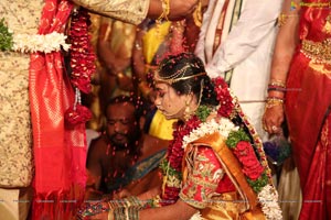 Saikesh-Vandana's Grand Wedding Ceremony