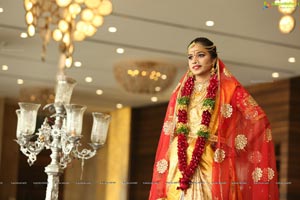 Saikesh-Vandana's Grand Wedding Ceremony