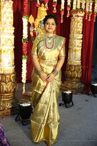 Saikesh-Vandana's Grand Wedding Ceremony