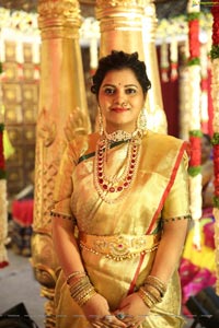 Saikesh-Vandana's Grand Wedding Ceremony