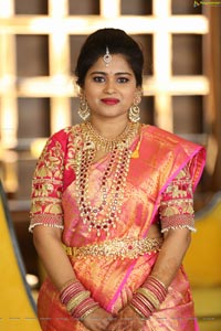 Saikesh-Vandana's Grand Wedding Ceremony