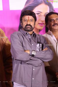 Ruler Movie Success Meet