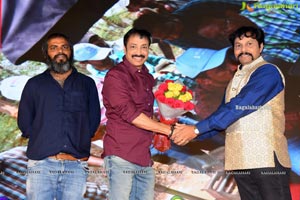 Software Sudheer Pre-Release Event