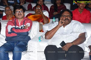 Software Sudheer Pre-Release Event