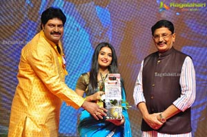 VB Entertainments Bullithera Awards 2019