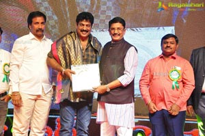 VB Entertainments Bullithera Awards 2019