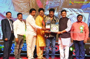 VB Entertainments Bullithera Awards 2019