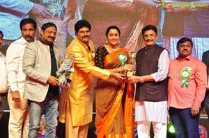 VB Entertainments Bullithera Awards 2019