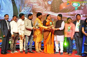 VB Entertainments Bullithera Awards 2019