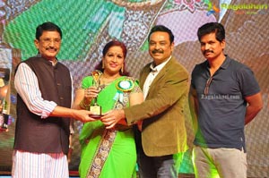 VB Entertainments Bullithera Awards 2019