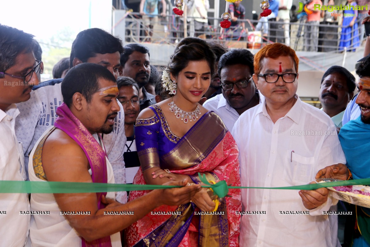 Nabha Natesh Launches Chandana Brothers Shopping Mall at Jangareddigudem In AP