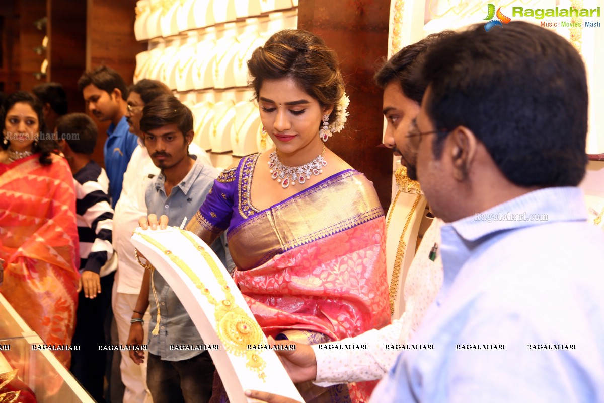 Nabha Natesh Launches Chandana Brothers Shopping Mall at Jangareddigudem In AP