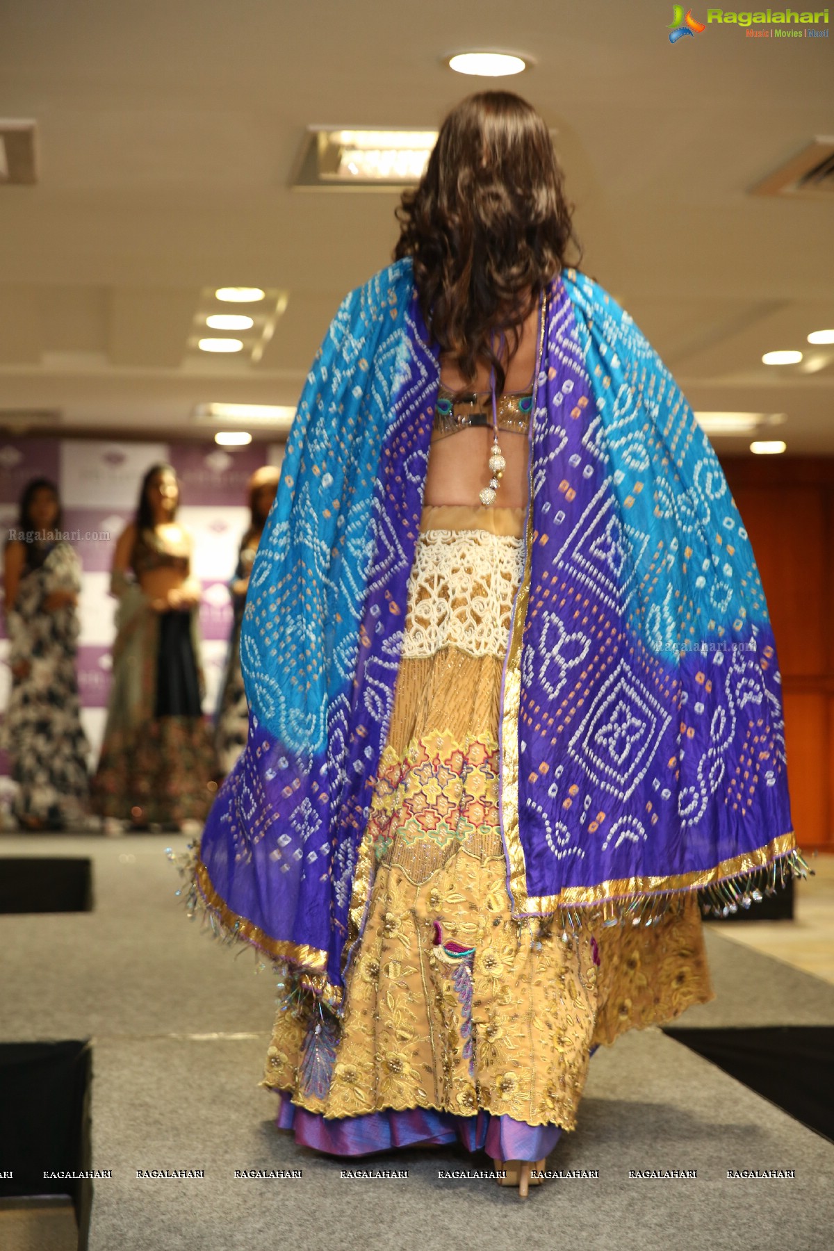 Hi-Life Exhibition Grand Curtain Raiser & Hi-End Fashion Show AT HICC (NOVOTEL)