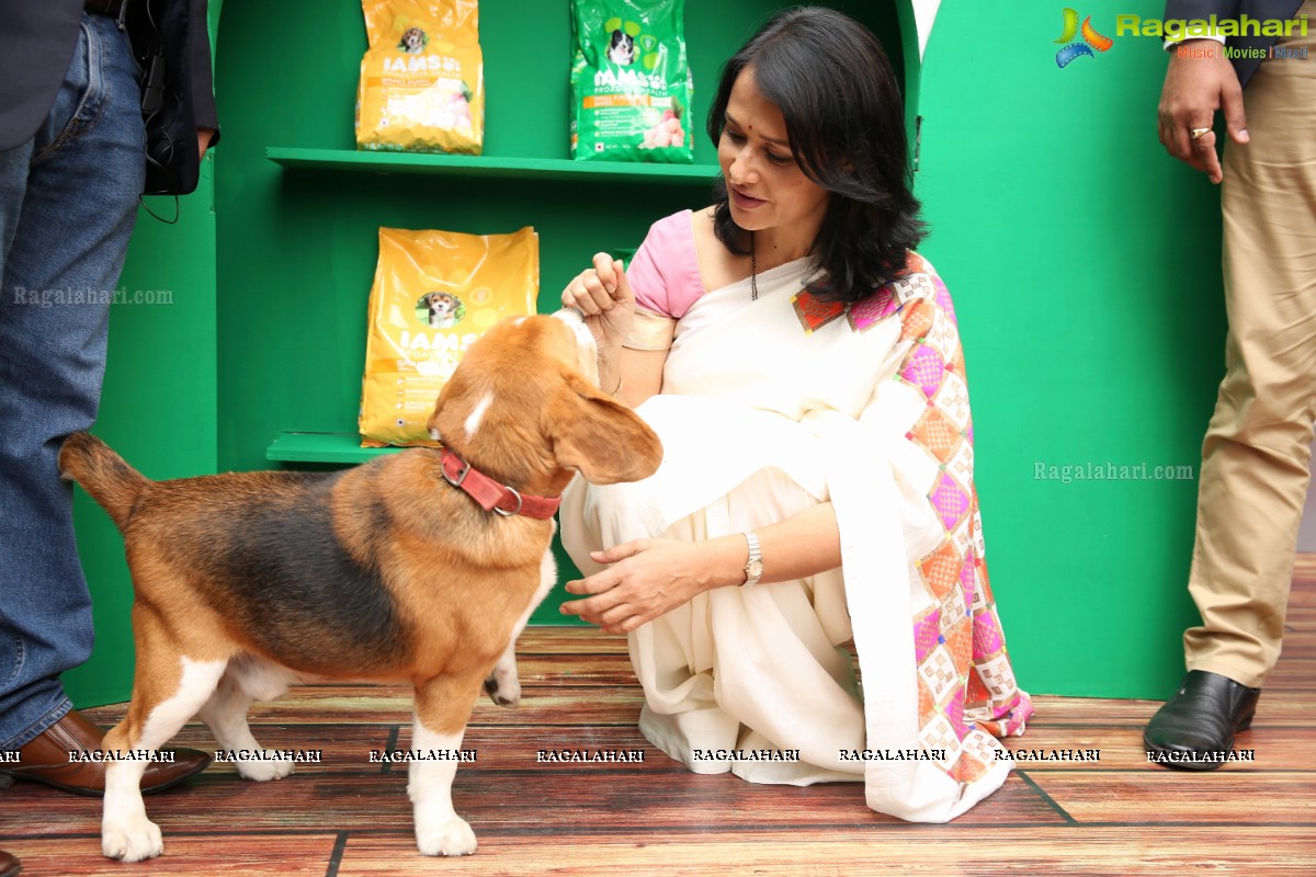 Mars Petcare Launches Premium Pet Nutrition Brand IAMS in India