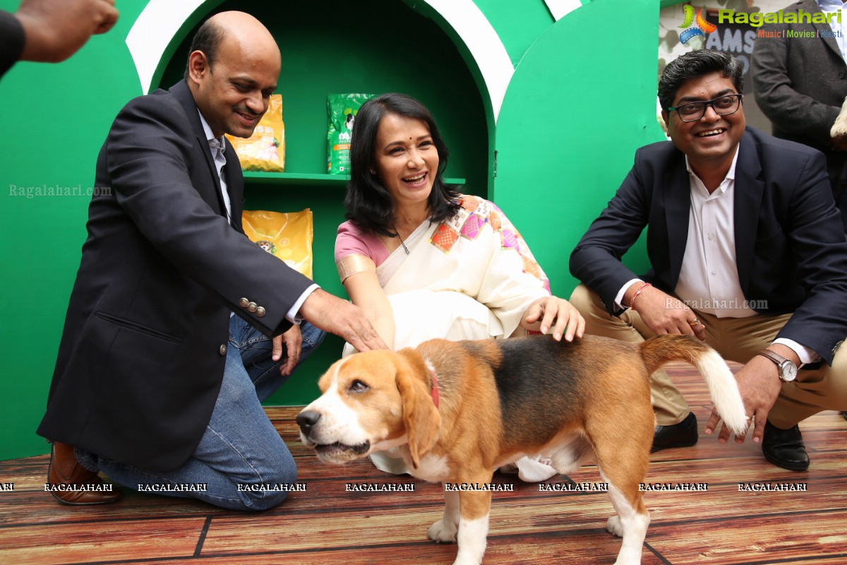 Mars Petcare Launches Premium Pet Nutrition Brand IAMS in India