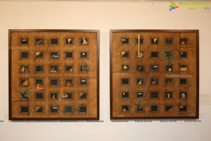 Shrishti Art Gallery Presents The Butterfly Effect