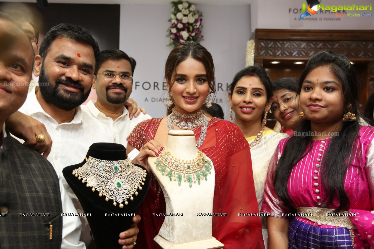 Sri Krishna Silks Exclusive Weaves Launch at Banjara Hills by Nidhhi Agerwal