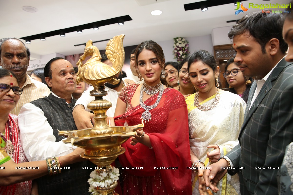 Sri Krishna Silks Exclusive Weaves Launch at Banjara Hills by Nidhhi Agerwal