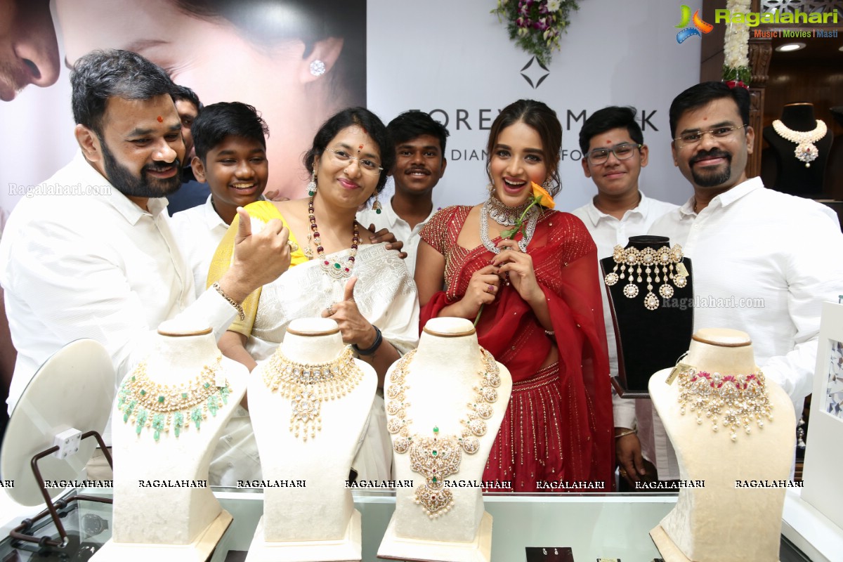 Sri Krishna Silks Exclusive Weaves Launch at Banjara Hills by Nidhhi Agerwal