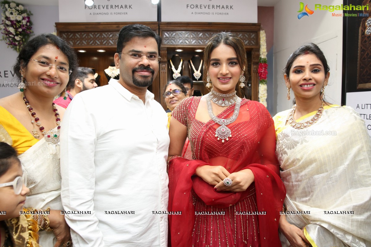 Sri Krishna Silks Exclusive Weaves Launch at Banjara Hills by Nidhhi Agerwal