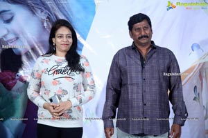 Radha Krishna Movie Trailer Launch