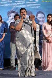 Radha Krishna Movie Trailer Launch