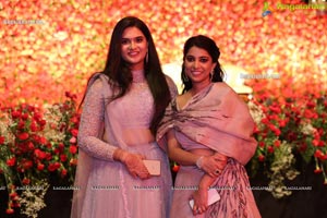 Wedding Reception of Nipun and Shriya