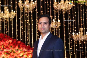 Wedding Reception of Nipun and Shriya