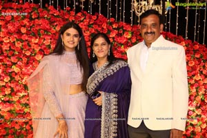 Wedding Reception of Nipun and Shriya