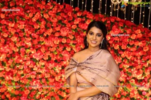 Wedding Reception of Nipun and Shriya