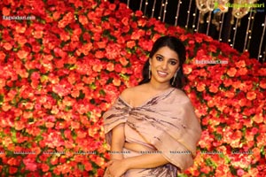 Wedding Reception of Nipun and Shriya