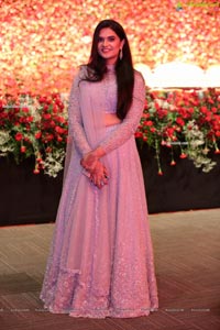 Wedding Reception of Nipun and Shriya